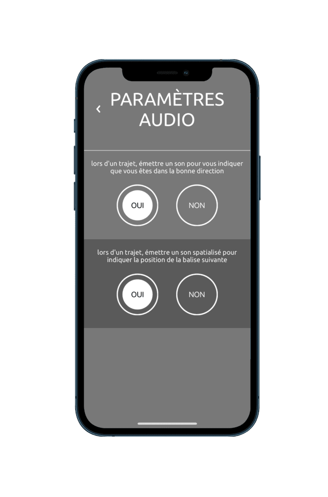 écran paramètres application Wizigo