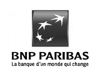 logo BNP n&b